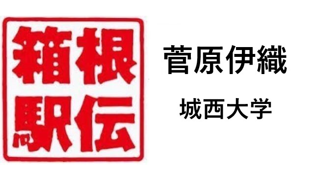 箱根駅伝城西大学菅原伊織